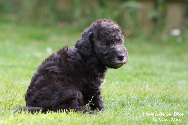 Arc-en-ciel Antares 2009-06-17 (23).JPG